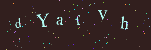 Validation image
